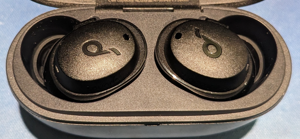 Photograph of two black earbuds in their storage case.